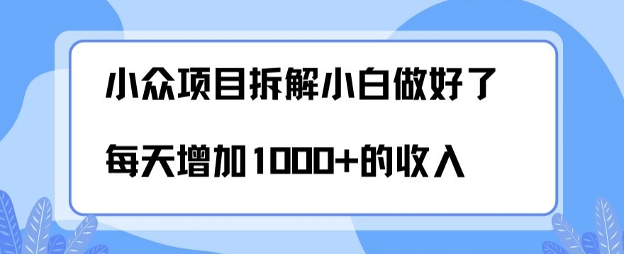 小众项目拆解，小白做好了每天可增加1000多的收入-冒泡网