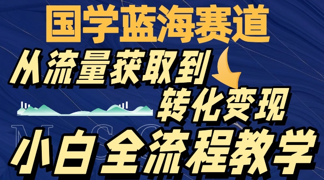 国学蓝海赛道,从流量获取,到转化变现,全流程教学-冒泡网