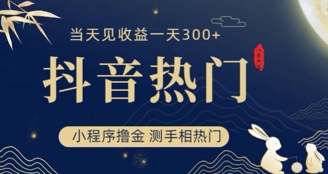 抖音最新小程序撸金,测手相上热门,当天见收益一小时变现300+【揭秘】-冒泡网