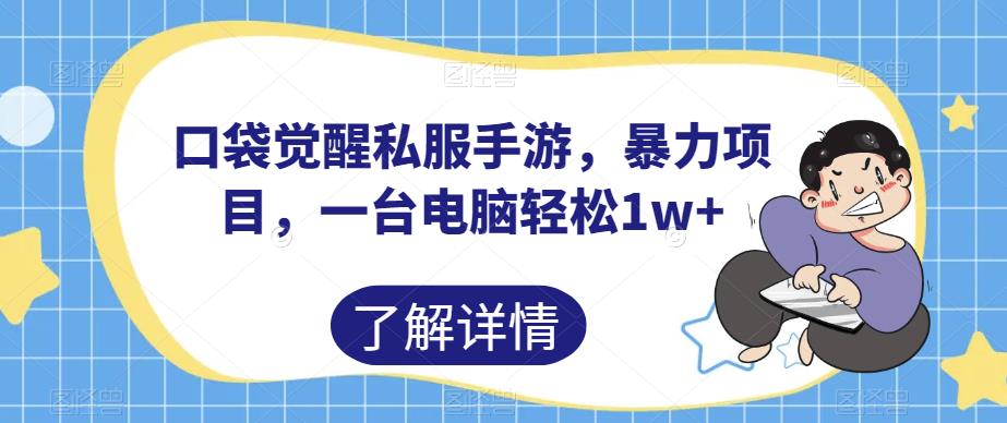 口袋觉醒私服手游，暴力项目，一台电脑轻松1w+【揭秘】-冒泡网
