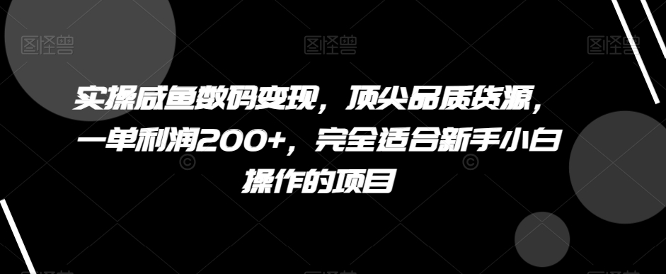 实操咸鱼数码变现,顶尖品质货源,一单利润200+,完全适合新手小白操作的项目【揭秘】-冒泡网