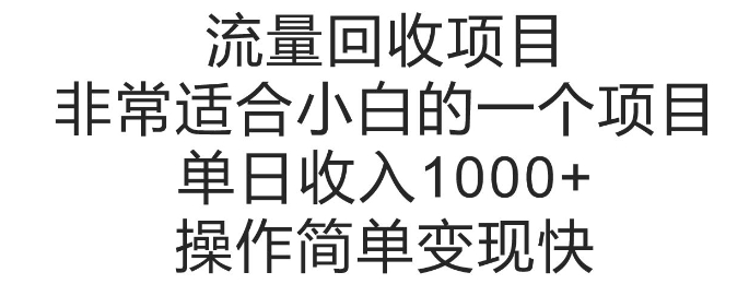 流量回收项目,非常适合小白的一个项目单日收入多张,操作简单变现快-冒泡网