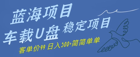 蓝海项目车载U盘稳定项目，挣的就是信息差，客单价99，日入几张简简单单-冒泡网
