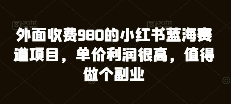 外面收费980的小红书蓝海赛道项目，单价利润很高，值得做个副业-冒泡网