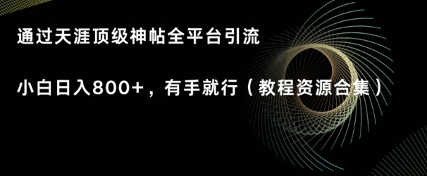 天涯顶级神帖项目,全平台引流小白日入800+,有手就行(内含教程资源合集)-冒泡网