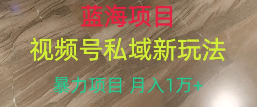 蓝海项目，视频号私域新玩法，暴力项目月入1万+【揭秘】-冒泡网