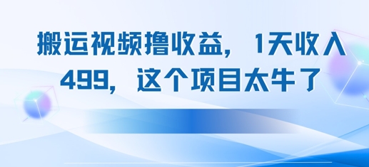 搬运抖音中视频撸收益,1天收入多张,这个项目太牛了-冒泡网