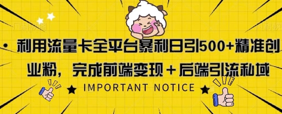 利用流量卡全平台暴利日引500+精准创业粉-冒泡网