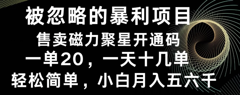 被忽略的暴利项目!售卖磁力聚星开通码,一单20,一天十几单,轻松月入五六千-冒泡网