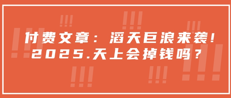 付费文章：滔天巨浪来袭！2025天上会掉钱吗？-冒泡网