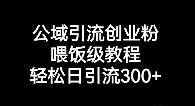 公域引流创业粉，喂饭级教程，轻松日引流300+【揭秘】-冒泡网