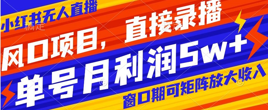风口项目,小红书无人直播带货,直接录播,可矩阵,月入5w+【揭秘】-冒泡网