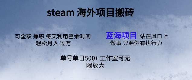 最新项目steam搬砖，单号日入500+-冒泡网