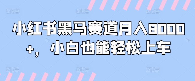 小红书黑马赛道月入8000+,小白也能轻松上车-冒泡网