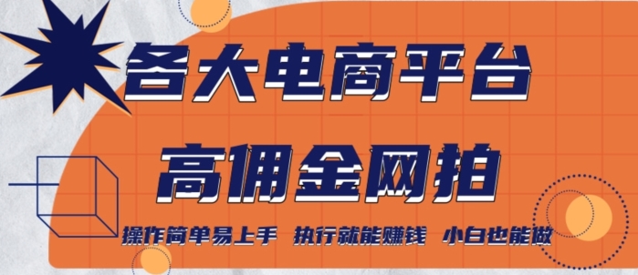各大电商平台高佣金网拍,操作简单易上手,执行就能赚钱,小白也能做-冒泡网