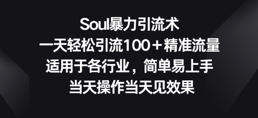 Soul暴力引流术，一天轻松引流100＋精准流量，适用于各行业，简单易上手-冒泡网