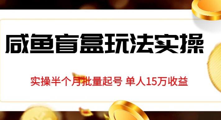 独家首发咸鱼盲盒玩法实操,半个月批量起号单人15万收益【揭秘】-冒泡网