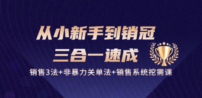 从小新手到销冠 三合一速成：销售3法+非暴力关单法+销售系统挖需课 (27节)-冒泡网
