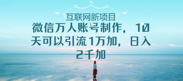 微信万人账号制作,10天可以引流1万加日入2千加-冒泡网