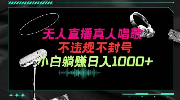 抖音24小时无人直播音乐，不违规，不封号纯撸音浪，小白实操当天日入1000+【揭秘】-冒泡网