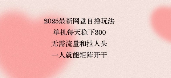 2025最新网盘自撸玩法,单机每天稳下3张,无需流量和拉人头,一个人就可轻松矩阵,全网独一份【揭秘】-冒泡网