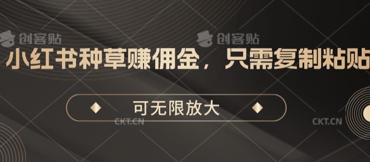 小红书种草赚佣金，只需复制粘贴，可无限放大-冒泡网