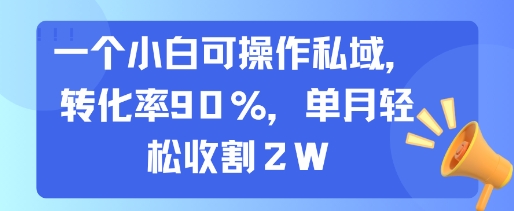 一个小白可操作私域,转化率90%,单月轻松收割2W-冒泡网