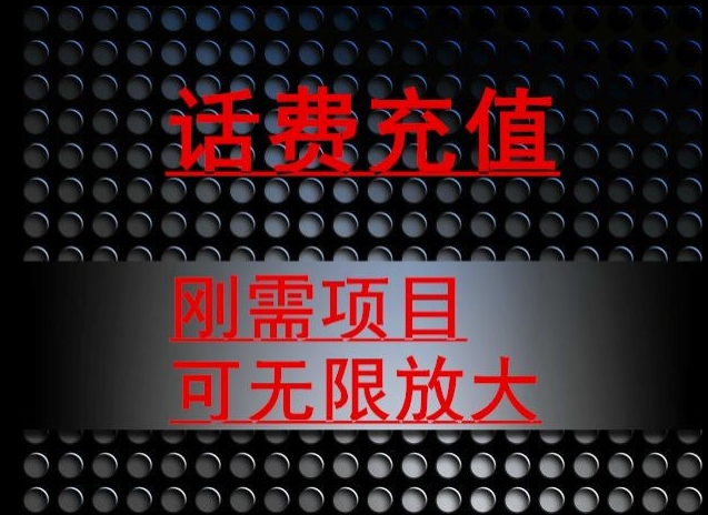 最新蓝海项目,刚需赛道,95折充话费月入5位数-冒泡网