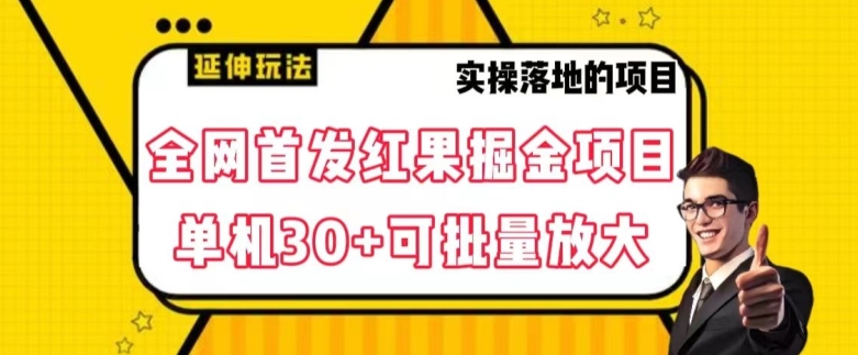 全网首发红果免费短剧掘金项目，单机30+可批量放大【揭秘】-冒泡网