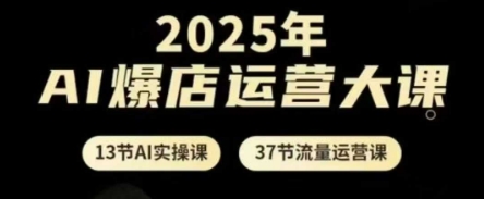 2025年AI爆店运营大课,13节AI实操课+37节流量运营课-冒泡网