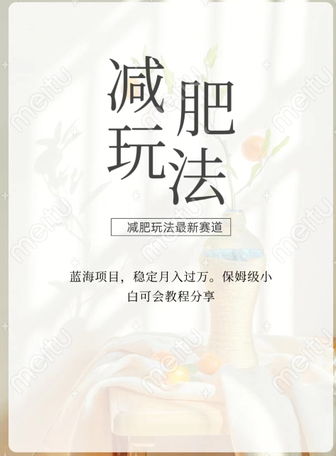 减肥流量主新玩法,轻松月入1W,可矩阵操作收入翻倍-冒泡网