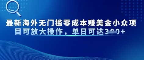 最新海外无门槛美金小众项目可放大操作，单日可达3张-冒泡网