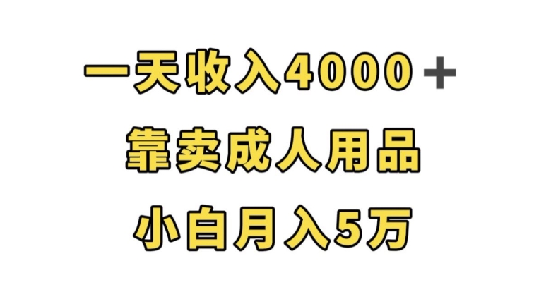 一天收入4000+，靠卖成人用品，小白轻松月入5万【揭秘】-冒泡网