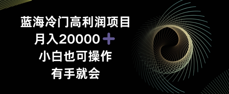 蓝海冷门高利润项目月入2000,小白也可操作有手就会-冒泡网