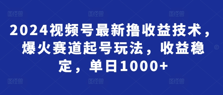 视频号最新撸收益技术，爆火赛道起号玩法，收益稳定，单日1000+-冒泡网