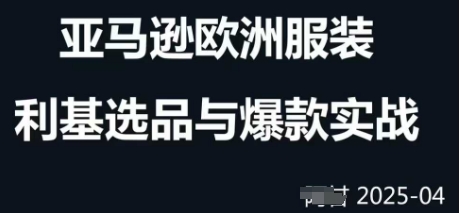 跨境电商选品案例24-25年,聚焦跨境电商选品策略与运营优化,助力卖家挖掘蓝海市场-冒泡网