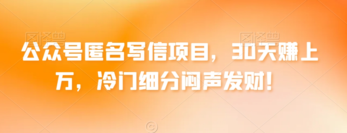 公众号匿名写信项目，30天赚上万，冷门细分闷声发财！-冒泡网