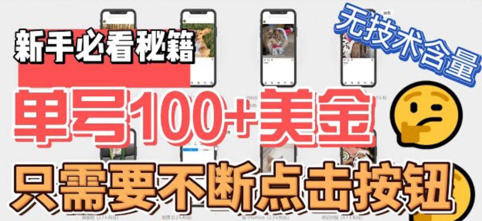 最新无脑只需不断点击按钮，单号100美金暴利项目，可批量操作【揭秘】-冒泡网