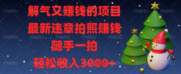 解气又挣钱的项目，最新违章拍照挣钱，随手一拍，轻松收入数张【揭秘】-冒泡网