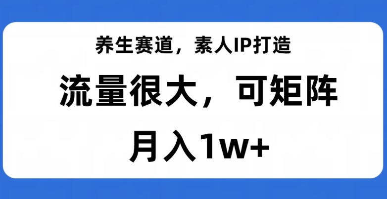 养生赛道，素人IP打造，流量很大，可矩阵，月入1w+【揭秘】-冒泡网