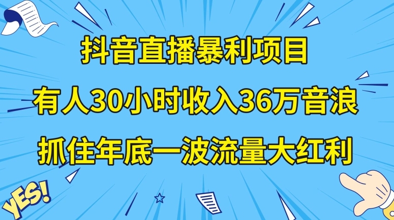 抖音直播暴利项目,有人30小时收入36万音浪,公司宣传片年会视频制作,抓住年底一波流量大红利【揭秘】-冒泡网