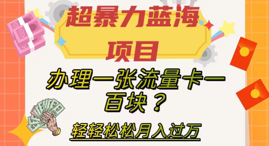 超暴力蓝海项目，办理一张流量卡一百块？轻轻松松月入过万，保姆级教程【揭秘】-冒泡网