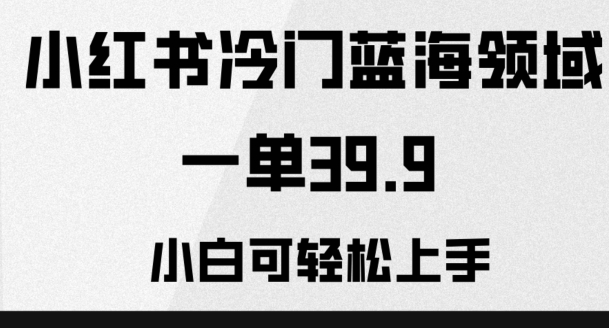 小红书冷门蓝海领域,一单39.9,小白可轻松上手-冒泡网