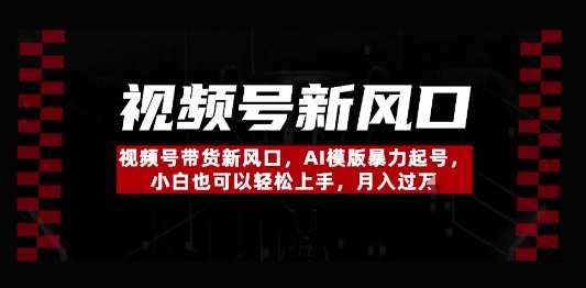 视频号带货新风口，AI模版暴力起号，小白也可以轻松上手，月入过W-冒泡网