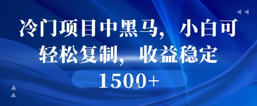 冷门项目中黑马，小白可轻松复制，收益稳定1.5k-冒泡网