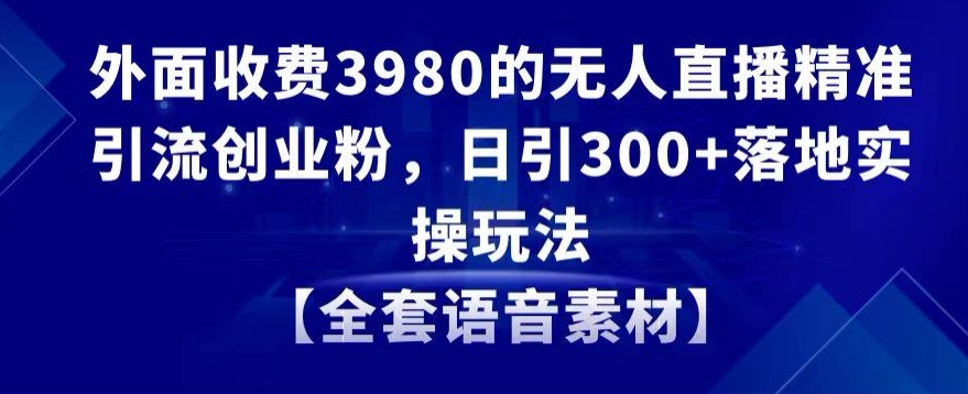 外面收费3980的无人直播精准引流创业粉,日引300+落地实操玩法【全套语音素材】【揭秘】-冒泡网