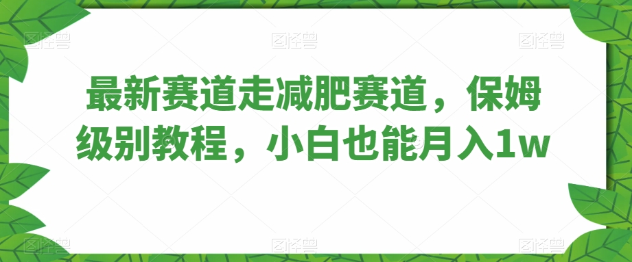 最新赛道走减肥赛道,保姆级别教程,小白也能月入1w-冒泡网