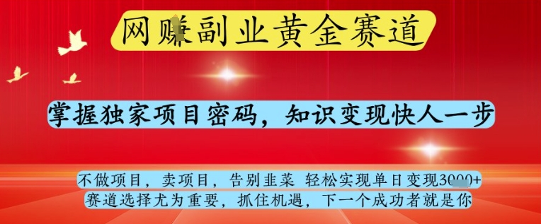 网创副业黄全赛道,掌握独家项目密码,知识变现快人一步,告别韭菜轻松实现单日变现1k+【揭秘】-冒泡网