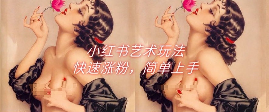小红书艺术玩法，快速涨粉，简单上手-冒泡网