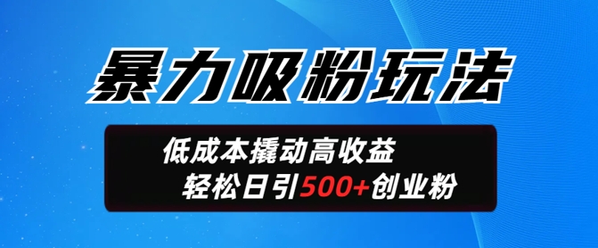 暴力吸粉玩法，日引500+精准创业粉，日变现轻松多张-冒泡网